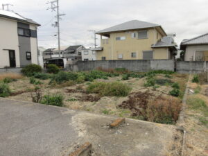 Before - 整地・植木撤去処分作業　大阪府岸和田市